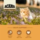 Сухий корм ACANA Wild Prairie Cat для котів всіх порід та всіх стадій життя 1,8 кг (a64018) - изображение 4