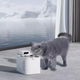 Поїлка Petkit Eversweet Max Smart Pet Drinking Fountain White (P4115) - зображення 4