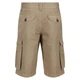 Шорти Shorebay Short Regatta RMJ221-3HE 38 Бежевий (5059404577484) - зображення 4