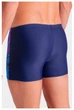 Плавки мужские Arena Flow Swim Shorт 80 CM Синий 008937-750 - изображение 2