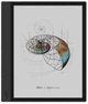 Электронная книга Boox Note Air 4 C Black (BOOX_NoteAir4C) - изображение 1