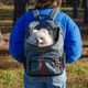 Рюкзак для маленьких собак та котів Ferplast Voyager Backpack 400 33х23х41 см Чорний (85736417) - зображення 10