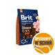 Сухой корм Brit Premium Dog Sport для собак с высокими энергозатратами, с курицей, 3 кг - изображение 1