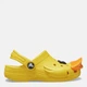 Детские кроксы-сабо для мальчика Crocs 210017-75Y 25-26 (C9) Sunflower (196265679522) - изображение 1