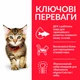 Сухой корм Hill's SP Kitten Chicken 300 г (607660) - изображение 5