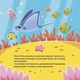 Книга картонка Як восьминіжка Чакі дивувався / Наталія Чуб. Матусина бібліотечка (українською) - зображення 4