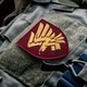 Шеврон на липучці 95 Бригада ДШВ ЗСУ бордо орел 8х9,5 см вишита патч нашивка 4710580 - зображення 4