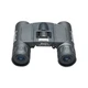 Бинокль Bushnell Powerview 8x21 Чёрный Б/В - изображение 6