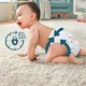 Подгузники памперс детские Pampers Premium Care 5 (11-15 кг) 44 штук памперсы премиум для детей - изображение 5