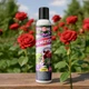 Засіб від попелиці (тлі) Strong 300 мл ECO - изображение 5