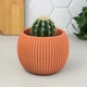 Горшок-шар для кактуса 0,15 л персиковый CORAL KRS-361 - изображение 1