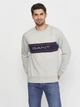 Світшот GANT Archive Stripe C-Neck 2006000 Light Grey Melange 2XL - изображение 2