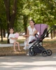 Прогулянкова коляска CARRELLO Alfa CRL-5508 BF Rouge Pink - зображення 2