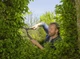 Ножиці для живоплоту Gardena NatureCut (12300-20.000.00) - зображення 8