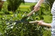 Ножиці для живоплоту Gardena NatureCut (12300-20.000.00) - зображення 15
