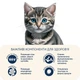 Сухой корм для котят Home Food KITTEN Fresh Chicken 400 г - изображение 2
