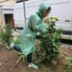 Дощовик дорослий під пояс поліетиленовий, розмір 60 - зображення 4