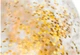 Круг надувной пляжный для плавания Intex 56274 Gold (Intex 56274 gold) - изображение 3