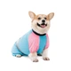 Комбінезон Pet Fashion Milly дівчинка для собак ML - зображення 2