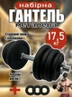 Гантель разборная металлическая регулируемая со сменными чугунными дисками для гантели и хромированным грифом компактная наборная для спорта фитнеса весом 17,5 кг Newt Metal + 3 эспандера в подарок NE-MT-17 - изображение 1