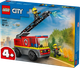 Конструктор Лего Сити Пожарники Пожарная машина с лестницей Lego City 60463 - изображение 1