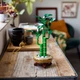 Лего Ботаника букет Бамбук счастья Цветочный декор LEGO Icons Botanicals 10344 - изображение 6