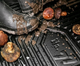 Автомобільні килимки Frogum No.77 Volkswagen ID.7 2023 3 шт (5902643401464) - зображення 7