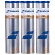 М'ячі тенісні для ґрунту Babolat Team Clay X4 (4 шт.) 2080 - зображення 1