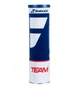 М'ячі тенісні для ґрунту Babolat Team Clay X4 (4 шт.) 2080 - зображення 2