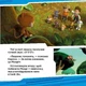 Щенячий патруль. Історії. Пригоди щенят у джунглях. - Nickelodeon (9786177591091) - изображение 4