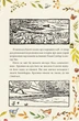 Казка про містера Лиса. Казка про місіс Кольколь - Беатрікс Поттер (9789660384774) - зображення 4