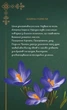 Щоденник Мавки. Лісова - Крістіан Коскінін (9789667510800) - изображение 5