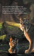 Щоденник Мавки. Лісова - Крістіан Коскінін (9789667510800) - изображение 7