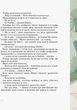 Пригоди Мишка та його друзів. Друг із Мезозою - Станіслав Соловінський (9786170949509) - изображение 6