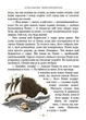 Пеппі Довгапанчоха. Книга 1 - Астрід Ліндґрен, Арсен Джанікян (9786178280550) - изображение 3