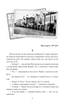 Пташка на долоні. Книга 3 - Ольга Саліпа (9786175511589) - изображение 3