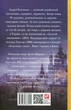 Справа Отамана Зеленого - Андрій Кокотюха (9789660386914) - зображення 2