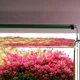 Светильник Chihiros B-Series B60 LED 60-80 см умное RGB-освещение для аквариума - изображение 6