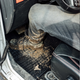 Dywaniki samochodowe Frogum El Toro Land Rover Discovery Sport 2014 4 szt (5907377547457) - obraz 7