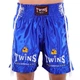 Шорты для тайского бокса кикбоксинга MMA мужские Twins Special 5075 размер L (46-48) Blue - изображение 2