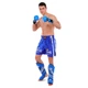 Шорты для тайского бокса кикбоксинга MMA мужские Twins Special 5075 размер L (46-48) Blue - изображение 7