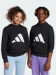 Детское худи для мальчика Adidas J Bl Ft Hd 280 JC9667 122-128 см Black (4067905821778) - изображение 5