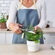 Кухонные ножницы IKEA SVARTFISK нержавеющая сталь 105.627.64 - изображение 3