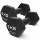 Гантели виниловые 4FIZJO Classic 2 x 5 кг (P-5907739312808) - изображение 1
