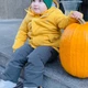 Комбінезон зимовий на шлейках для хлопчиків Trendy Tot 03-01517 сірий темний 92 см (2 роки) - зображення 5