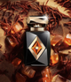 Парфумований екстракт унісекс Fragrance World French Avenue Amber Saffron 80 мл (6290360376820) - зображення 2