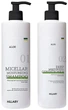 Набір для сухого типу волосся - Hillary Aloe Deep Moisturizing. - зображення 1