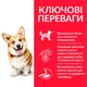 Сухой корм для собак малых пород Hill's Science Plan Adult Small & Mini Lamb с ягненком 6 кг 604319 - изображение 2