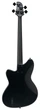 Бас-гітара IBANEZ TMB420B BKF (236710) - изображение 2