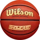 Мяч баскетбольный Wilson Showcase Comp Size 7 (WZ2005701XB7) - изображение 1